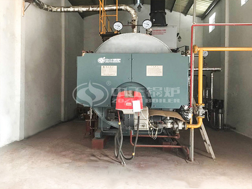 6噸WNS系列冷凝式燃氣蒸汽鍋爐項目（新敦煌染業）