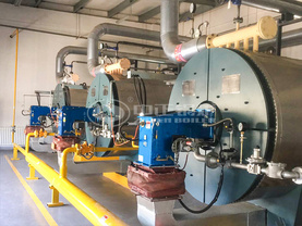 吉林正大120万大卡YQW系列燃气卧式导热油锅炉项目