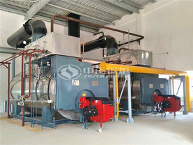 12噸WNS系列冷凝式燃氣蒸汽鍋爐項目（永興新能源）