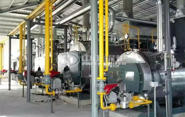 2.8MW WNS系列冷凝式燃氣熱水鍋爐項目（上海鮮花港）