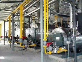 2.8MW WNS系列冷凝式燃氣熱水鍋爐項目（上海鮮花港）