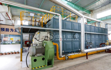 25噸SZS系列冷凝式燃氣蒸汽鍋爐項目（三五三三印染廠）