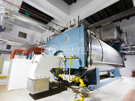 10.5MW WNS系列冷凝式燃氣熱水鍋爐項目（威立雅熱電）