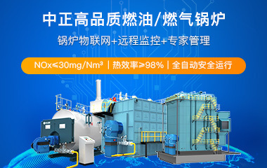 燃油/燃?xì)庹羝仩t; 低氮燃?xì)庹羝仩t；工業(yè)節(jié)能燃?xì)鉅t；十大工業(yè)燃?xì)忮仩t品牌
