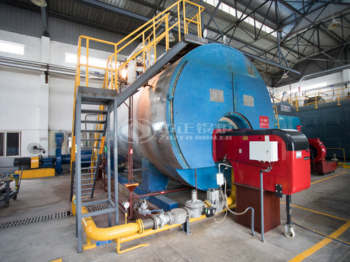 15噸WNS系列冷凝式燃氣蒸汽鍋爐項目（維達紙業）