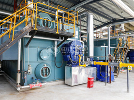 海大集團25噸和20噸SZS系列環保型燃氣蒸汽鍋爐項目