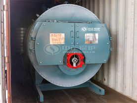 德國GOTEC集團(tuán)墨西哥工廠0.7MW WNS系列燃?xì)鉄崴仩t項(xiàng)目