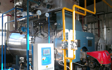 利比玻璃WNS系列冷凝式燃氣蒸汽鍋爐項目