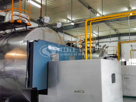 宜興新威利成稀土6噸WNS系列冷凝式燃氣蒸汽鍋爐項目