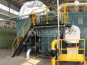 金光紙業20噸SZS系列蒸汽鍋爐煤改氣項目