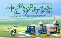 中正鍋爐在內蒙古 WNS系列燃氣鍋爐增強經濟發展活力