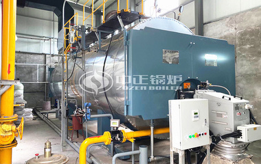 宏大紡織印染10噸WNS系列節能型燃氣蒸汽鍋爐