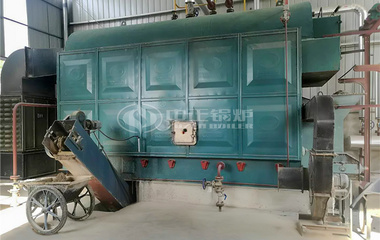 馬來西亞快樂聯盟4噸DZL系列快裝生物質蒸汽鍋爐項目