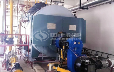 福民生物6噸WNS系列三回程冷凝式燃氣蒸汽鍋爐項目