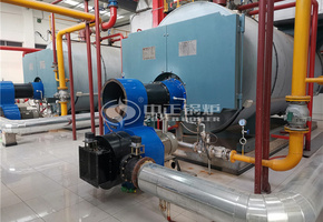 中國農大涿州科技園7MW WNS系列燃氣熱水鍋爐項目