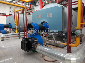 中國農大涿州科技園7MW WNS系列燃氣熱水鍋爐項目