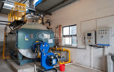 南京常力蜂業2噸WNS系列冷凝式三回程燃氣蒸汽鍋爐項目