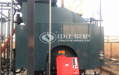 江蘇馨瑞香料4噸WNS系列燃油燃氣蒸汽鍋爐項目