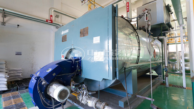 中正鍋爐12噸WNS系列冷凝燃氣蒸汽鍋爐案例集錦
