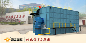 中正SZS系列沼氣鍋爐點火一次成功 助力年產(chǎn)80萬噸包裝裝飾新材料項目