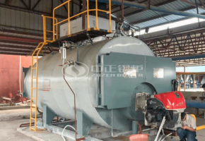 6噸WNS系列低氮環保燃氣蒸汽鍋爐項目（樂東昌昇標準環保機磚）