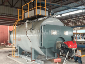 6噸WNS系列低氮環保燃氣蒸汽鍋爐項目（樂東昌昇標準環保機磚）