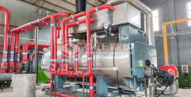 海森藥業6噸和10噸環保二回程WNS系列燃氣蒸汽鍋爐項目