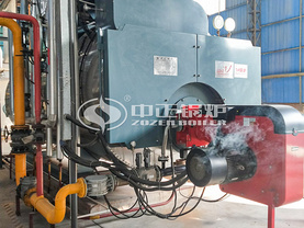 美哲塑膠10噸優質高效WNS系列燃氣蒸汽鍋爐項目