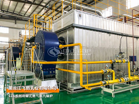 35噸SZS冷凝式燃氣蒸汽鍋爐項目（飛鶴乳業）