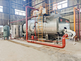輔仁堂制藥WNS系列10噸和6噸燃氣蒸汽鍋爐項目