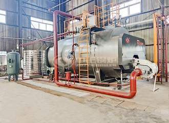 辅仁堂制药WNS系列10吨和6吨燃气蒸汽锅炉项目
