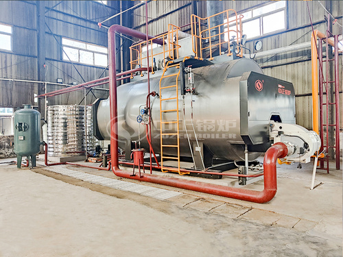 輔仁堂制藥WNS系列10噸和6噸燃氣蒸汽鍋爐項目