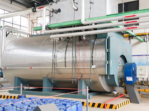 瀘溪藍天高科20噸WNS系列環保二回程燃氣蒸汽鍋爐項目