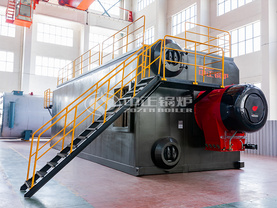 盛達紙業20噸SZS系列冷凝式燃氣蒸汽鍋爐項目
