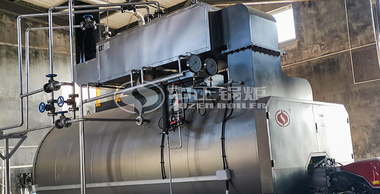 仙壇食品WNS系列6噸燃氣蒸汽鍋爐項目