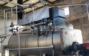 仙壇食品WNS系列6噸燃氣蒸汽鍋爐項目