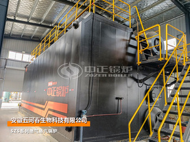 五河春30噸SZS混燃沼氣和天然氣蒸汽鍋爐項目