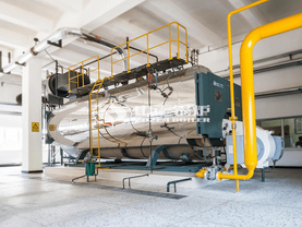 10噸 WNS系列冷凝式燃氣蒸汽鍋爐項目（譽衡藥業）