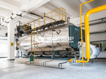 10噸 WNS系列冷凝式燃氣蒸汽鍋爐項目（譽衡藥業）