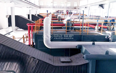 雙胞胎飼料1-12噸SZL系列燃煤、WNS系列燃氣鍋爐項目