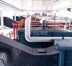 雙胞胎飼料1-12噸SZL系列燃煤、WNS系列燃氣鍋爐項目