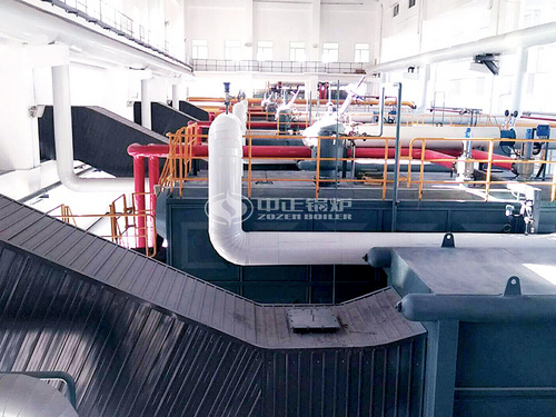 雙胞胎飼料1-12噸SZL系列燃煤、WNS系列燃氣鍋爐項目