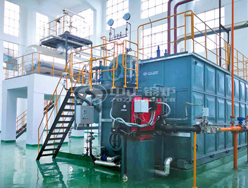 貴州煙葉12噸SZS系列冷凝式燃氣蒸汽鍋爐項目