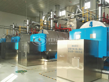 7MW WNS系列燃氣熱水鍋爐項目（中國石化北京設計院）