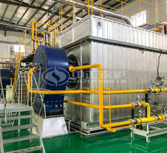 35噸SZS冷凝式燃氣蒸汽鍋爐項目（飛鶴乳業）