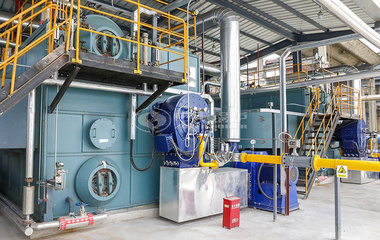 海大集團25噸和20噸SZS系列環保型燃氣蒸汽鍋爐項目