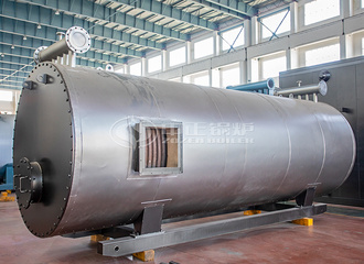 中能新材料300万大卡YY(Q)W系列燃气导热油锅炉项目