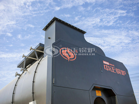 3吨轻柴油蒸汽yabo手机娱乐WNS系列得力机器公司项目