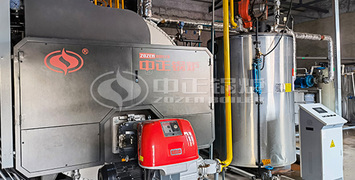 貫流鍋爐和臥式鍋爐怎么選？農(nóng)業(yè)龍頭企業(yè)佳龍集團(tuán)有經(jīng)驗(yàn)