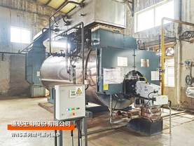 惠達衛浴WNS系列6噸低氮燃氣蒸汽鍋爐項目
